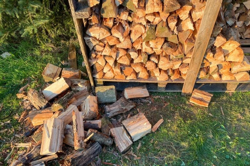 Hardwoods for Winter Warmth: Choosing the Best for Your Canadian Wood Cook Stove Hardwoods for Winter Warmth: Choosing the Best for Your Canadian Wood Cook Stove